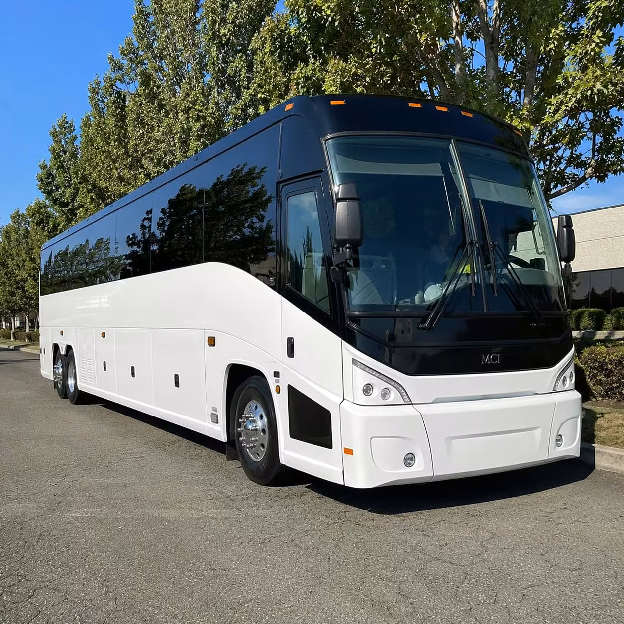 bullhead city buses